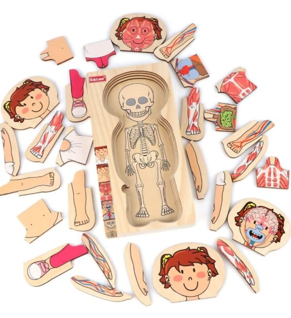 PLAYTIVE MONTESSORI BODY PUZZLE - GIRL - Image 2
