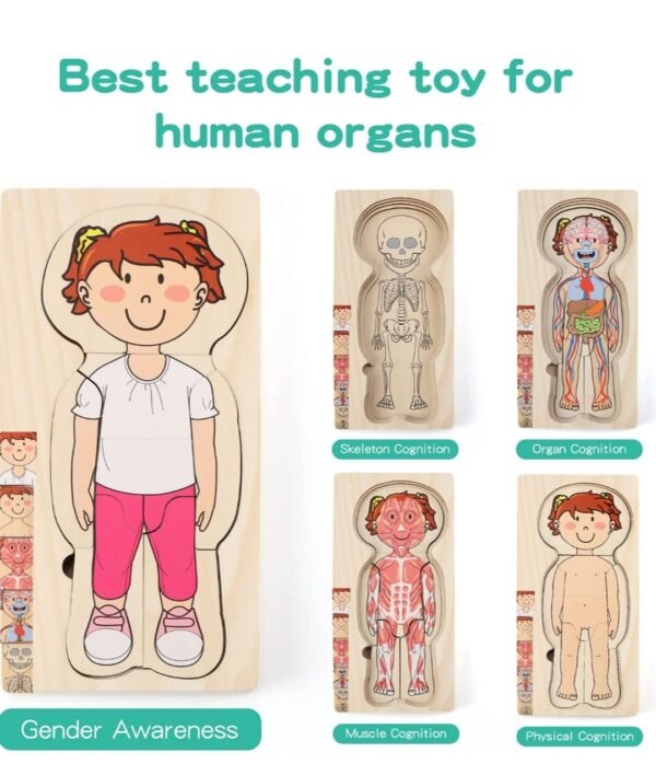 PLAYTIVE MONTESSORI BODY PUZZLE - GIRL